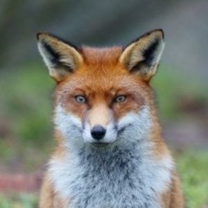 Meet your Posher, Svet